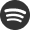 spotify Icon